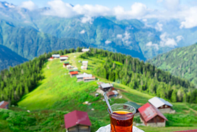 Butik Karadeniz Turu