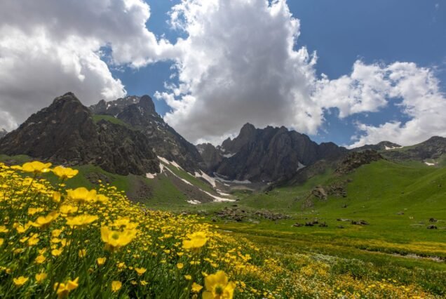Van- Hakkari- Arvas